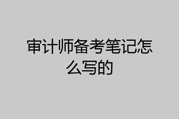 审计师备考笔记怎么写的