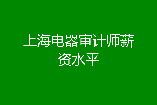 上海电器审计师薪资水平