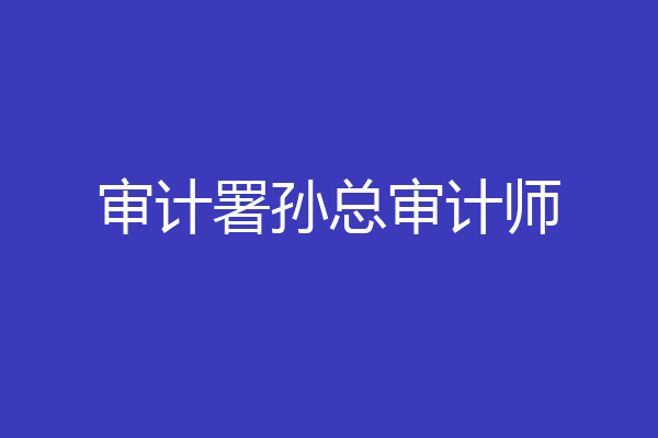 审计署孙总审计师