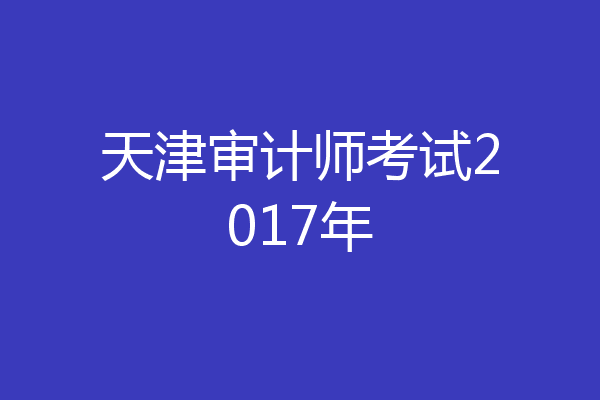 天津审计师考试2017年