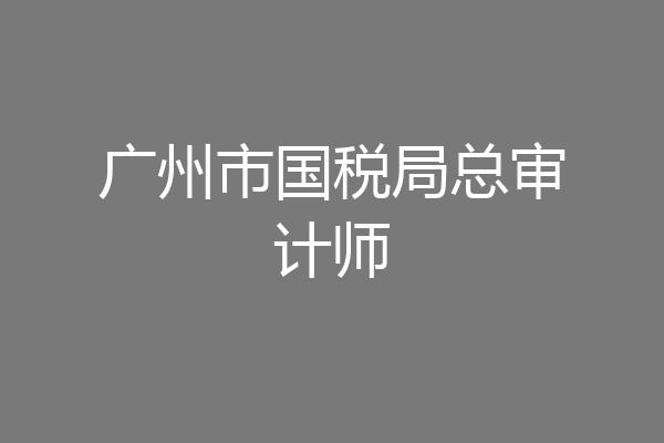 广州市国税局总审计师