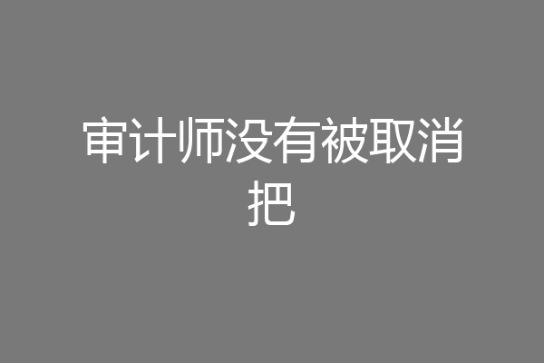 审计师没有被取消把