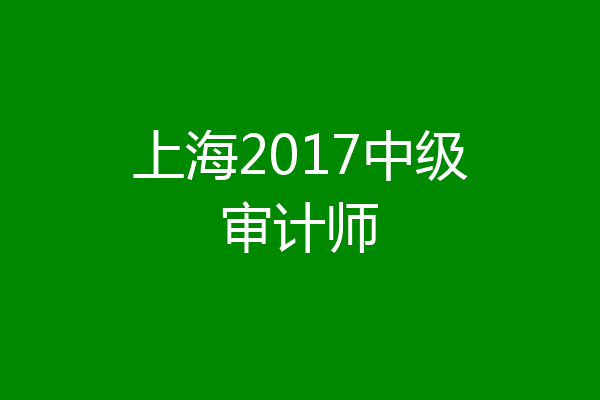 上海2017中级审计师
