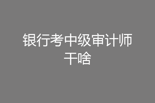 银行考中级审计师干啥