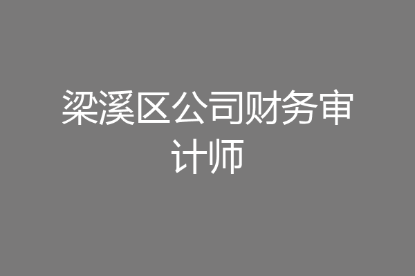 梁溪区公司财务审计师