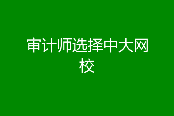审计师选择中大网校