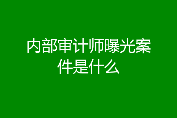 内部审计师曝光案件是什么