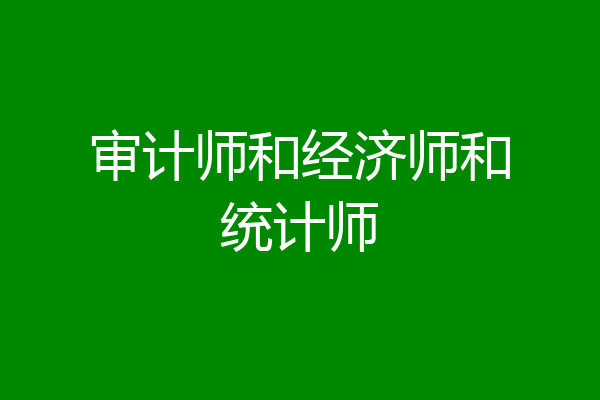 审计师和经济师和统计师