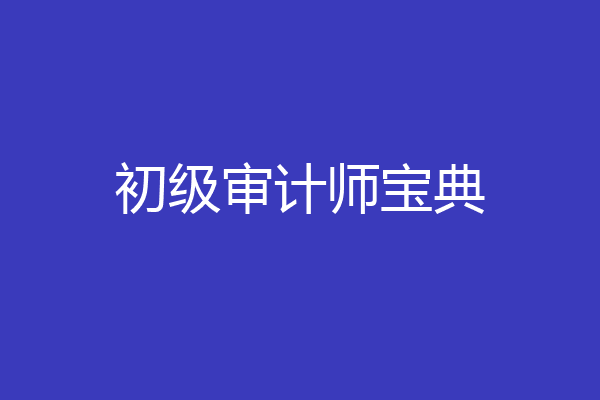 初级审计师宝典