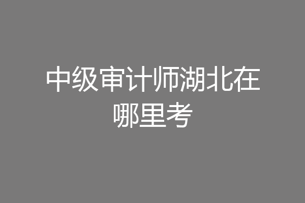 中级审计师湖北在哪里考