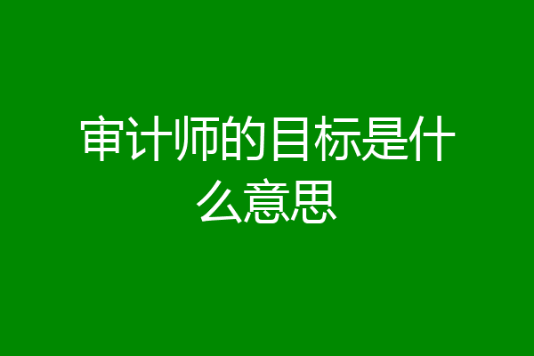 审计师的目标是什么意思
