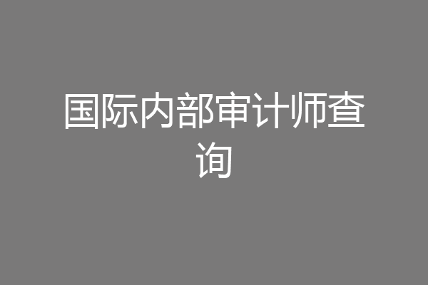国际内部审计师查询