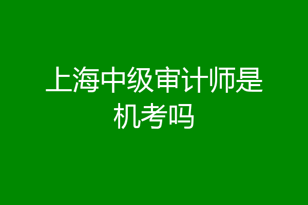 上海中级审计师是机考吗