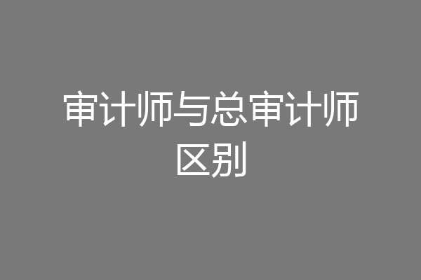 审计师与总审计师区别