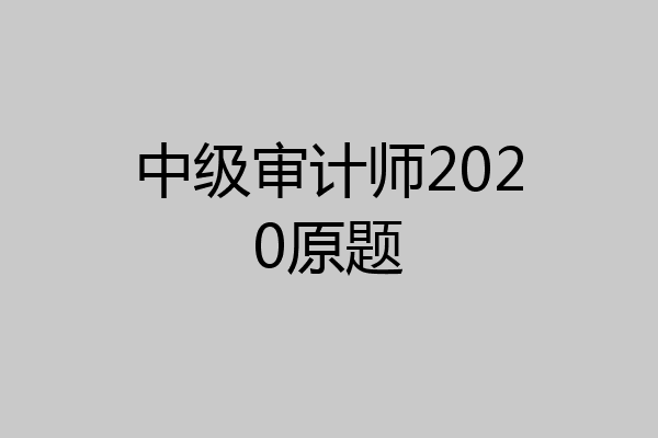 中级审计师2020原题