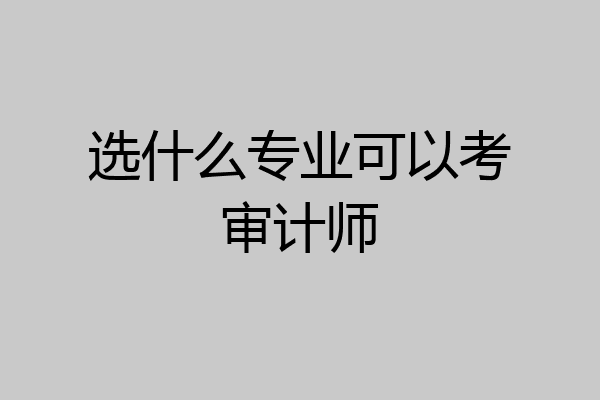 选什么专业可以考审计师