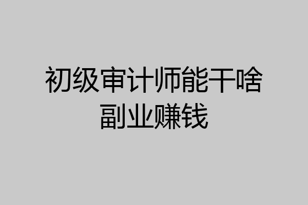 初级审计师能干啥副业赚钱