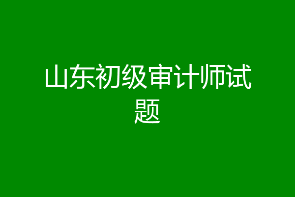 山东初级审计师试题