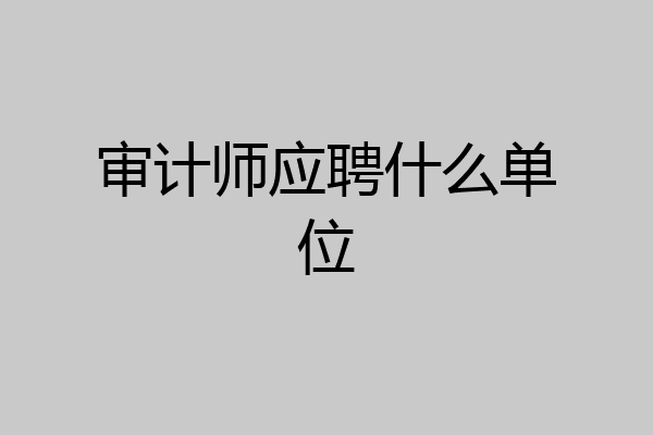 审计师应聘什么单位