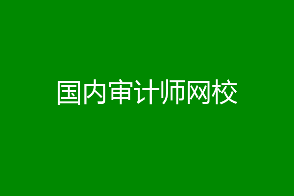 国内审计师网校