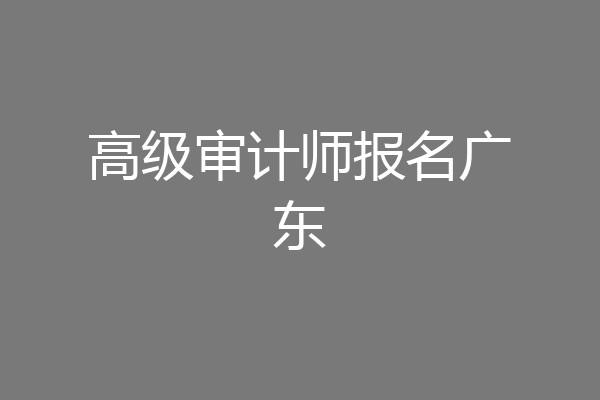 高级审计师报名广东