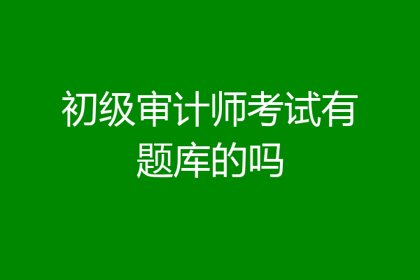初级审计师考试有题库的吗