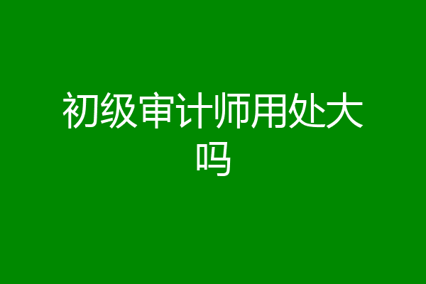 初级审计师用处大吗