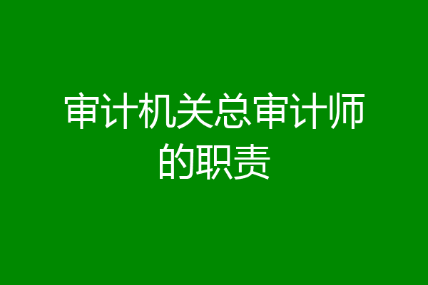 审计机关总审计师的职责