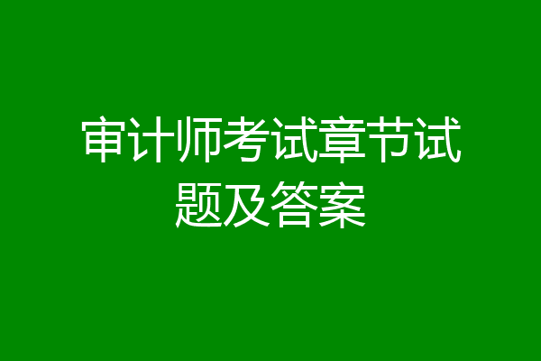 审计师考试章节试题及答案