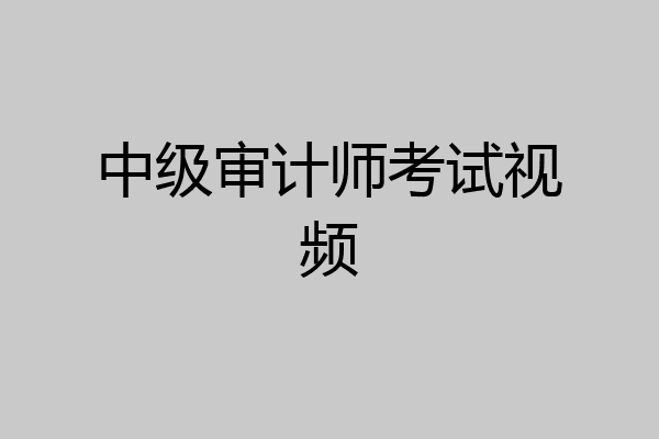 中级审计师考试视频