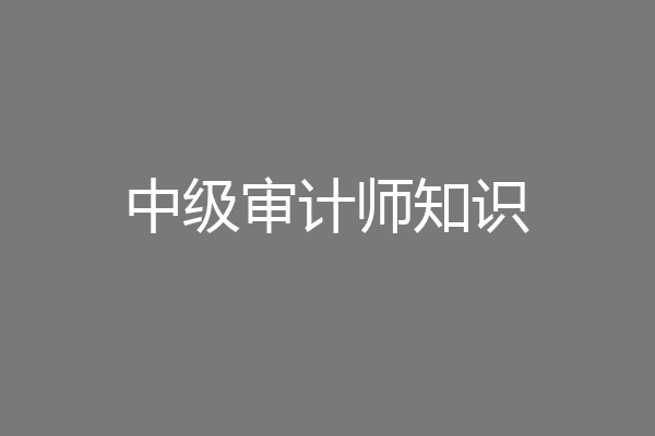 中级审计师知识