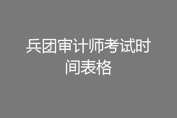 兵团审计师考试时间表格