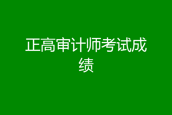 正高审计师考试成绩