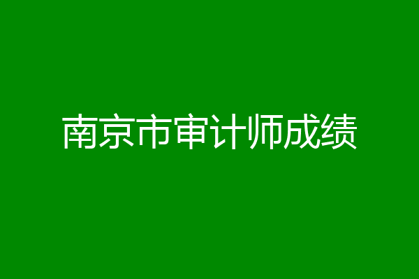 南京市审计师成绩
