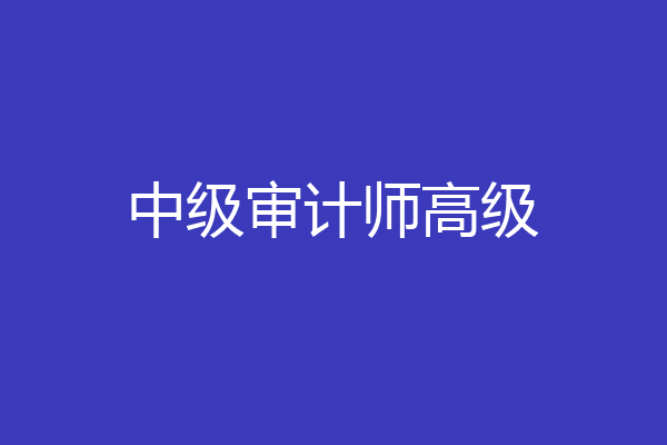 中级审计师高级