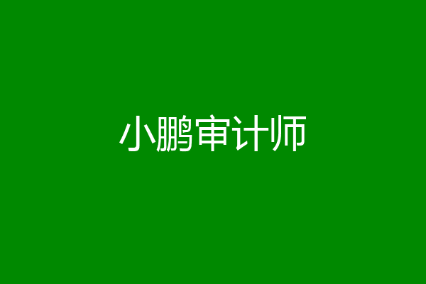 小鹏审计师
