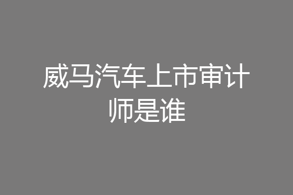 威马汽车上市审计师是谁