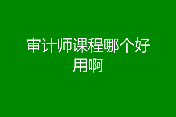 审计师课程哪个好用啊