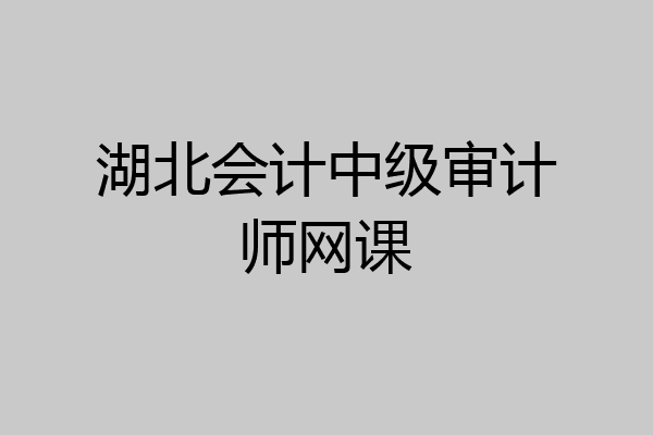 湖北会计中级审计师网课