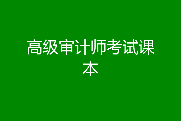 高级审计师考试课本