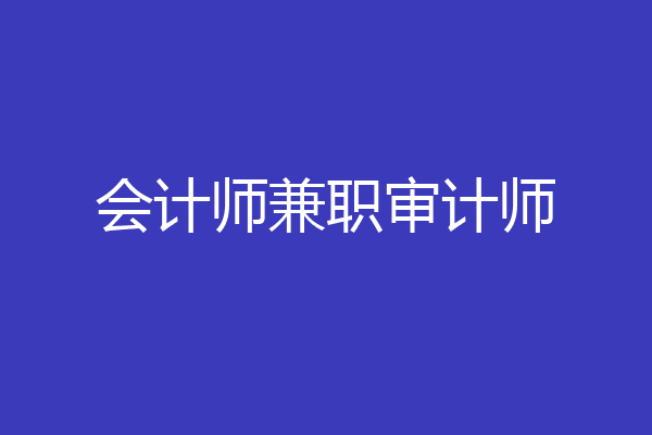 会计师兼职审计师