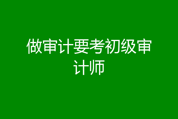 做审计要考初级审计师