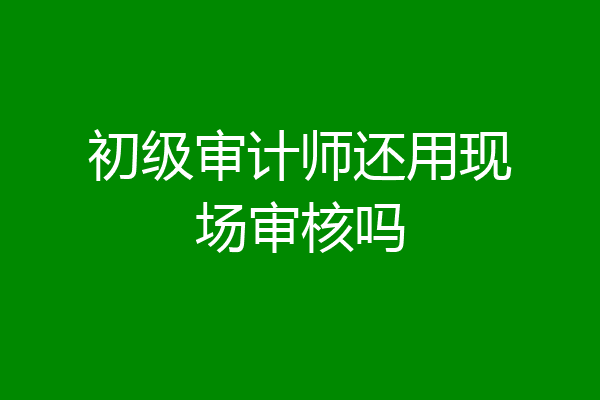 初级审计师还用现场审核吗