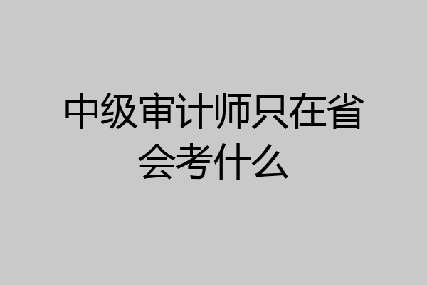 中级审计师只在省会考什么