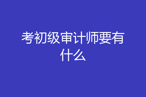 考初级审计师要有什么
