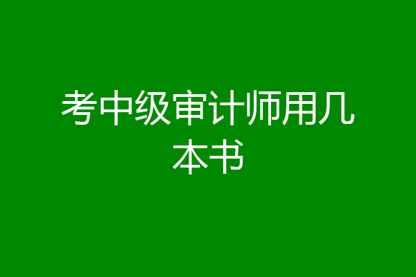考中级审计师用几本书