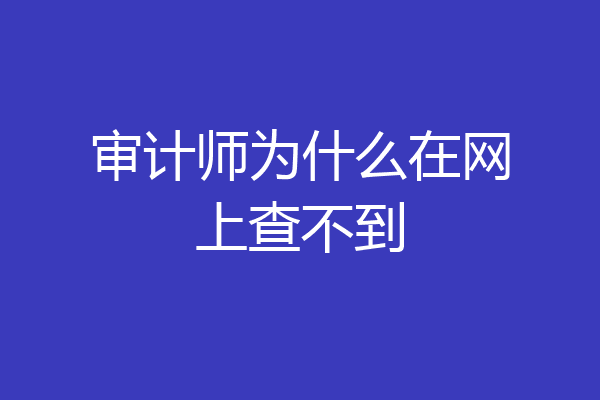 审计师为什么在网上查不到
