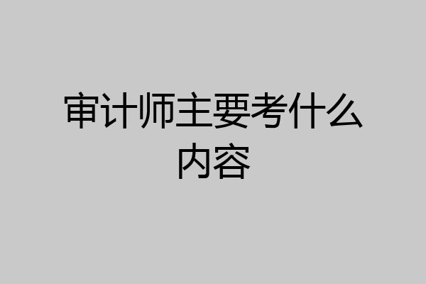审计师主要考什么内容