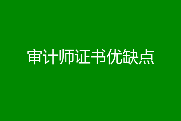 审计师证书优缺点