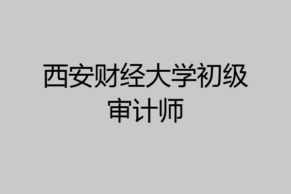 西安财经大学初级审计师